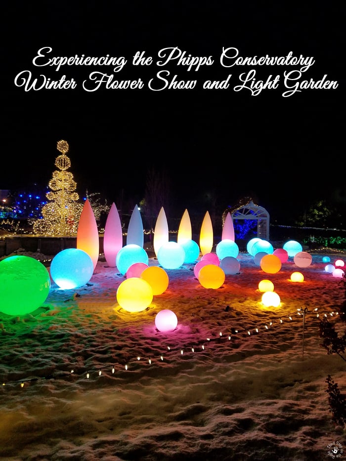 Experiencing the Phipps Conservatory Winter Flower Show and Light Garden