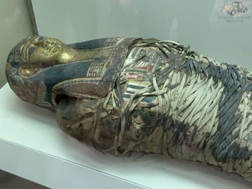 Carnegie Museum Ancient Egypt Exhibit: The Mummy’s Fingers - Third Stop ...